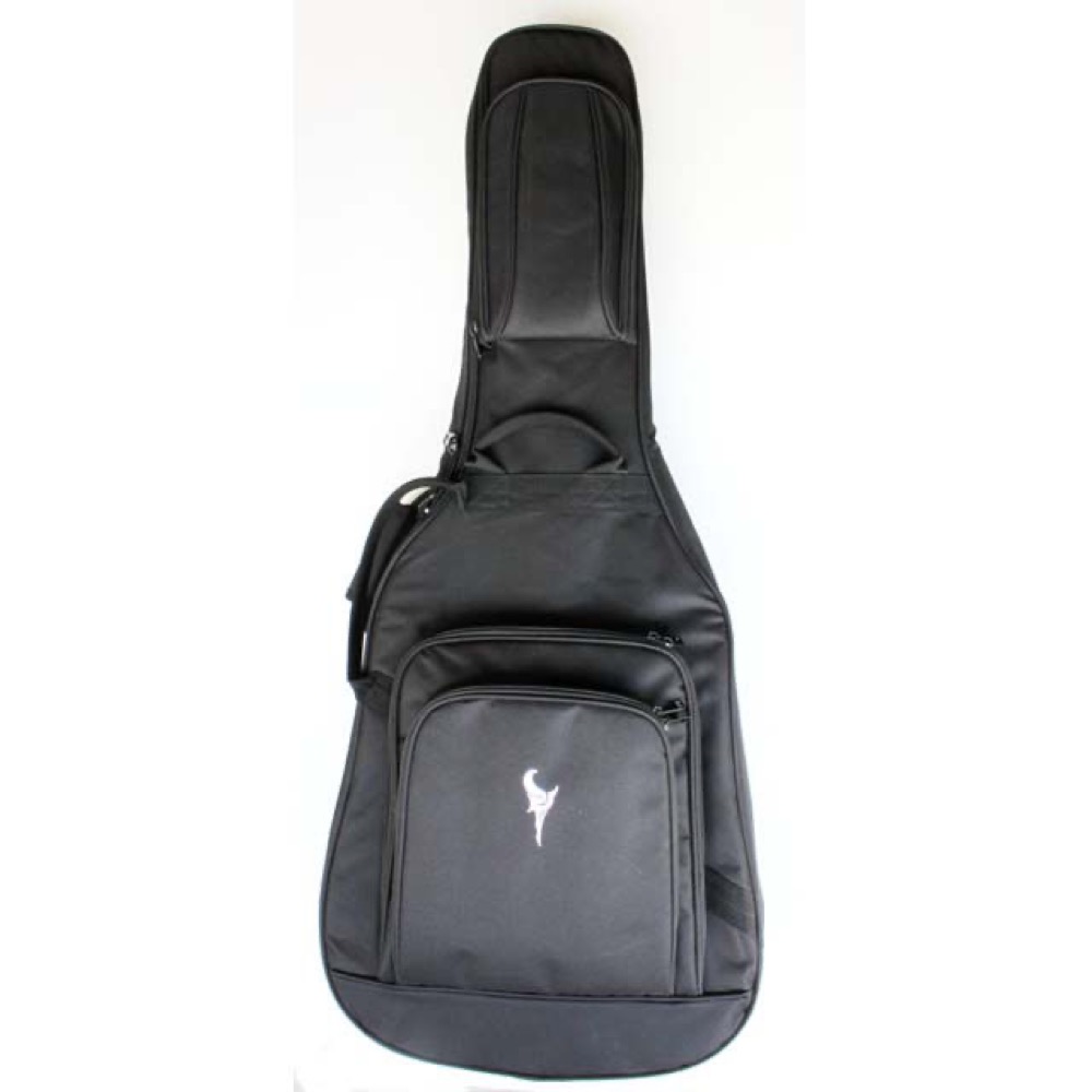 DCT GR-745CE エレクトリックアコースティックギター ケース