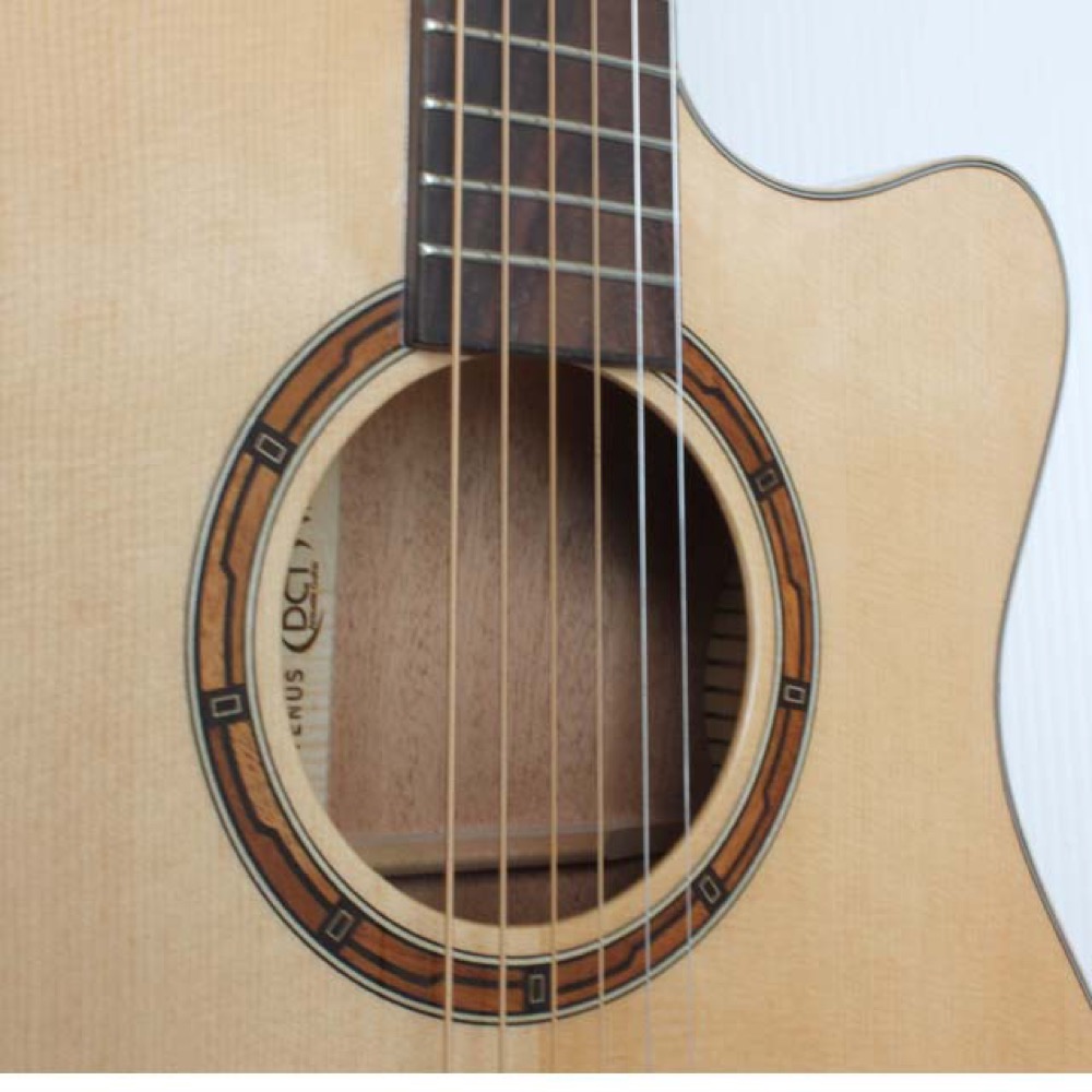 DCT GR-315 CE エレクトリックアコースティックギター サウンドホール