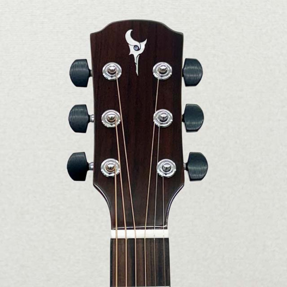 DCT GR-315 CE エレクトリックアコースティックギター ヘッド