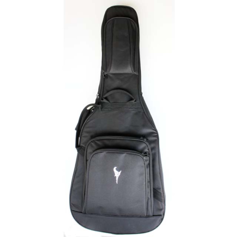 DCT VR-645K CE エレクトリックアコースティックギター ケース