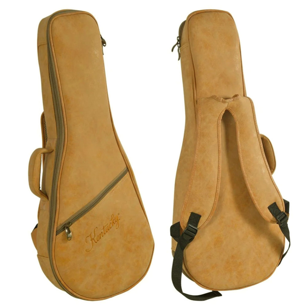 Kentucky ケンタッキー KM270 マンドリン 付属品