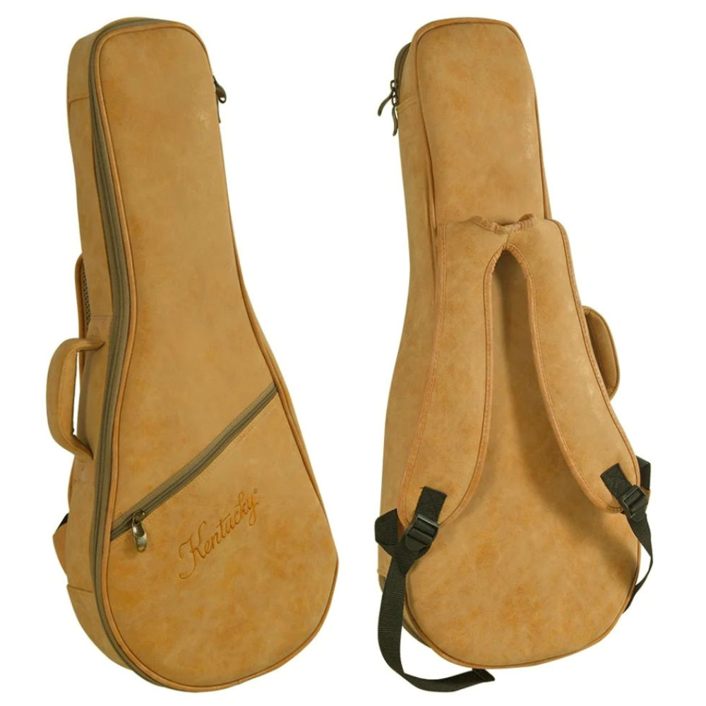 Kentucky ケンタッキー KM650 マンドリン 付属品