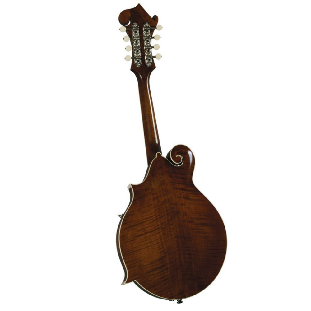 Kentucky ケンタッキー KM656 マンドリン 背面