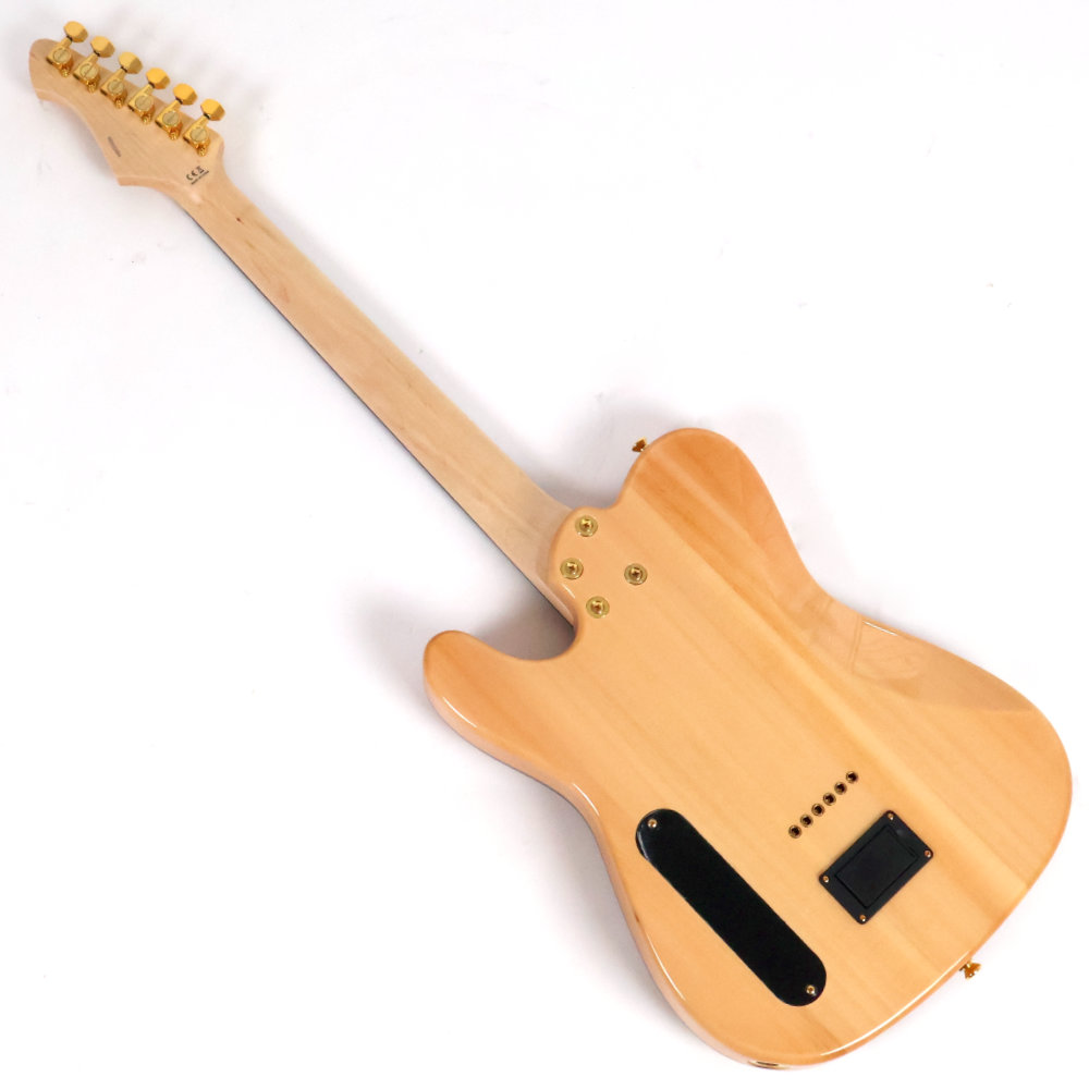 【訳あり】アウトレット AriaProII アリアプロII TEG-780 N エレキギター ボディバック