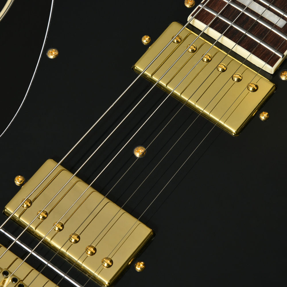 BACCHUS バッカス Universe Series BTLC-1-RSM/R BLK エレキギター ピックアップ部