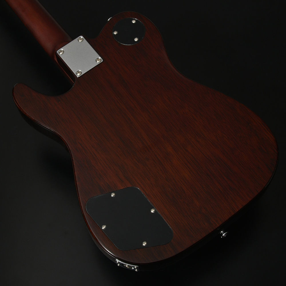 BACCHUS バッカス Global Series BARON-JAZZ Alnico BLK-Top エレキギター ボディ部裏