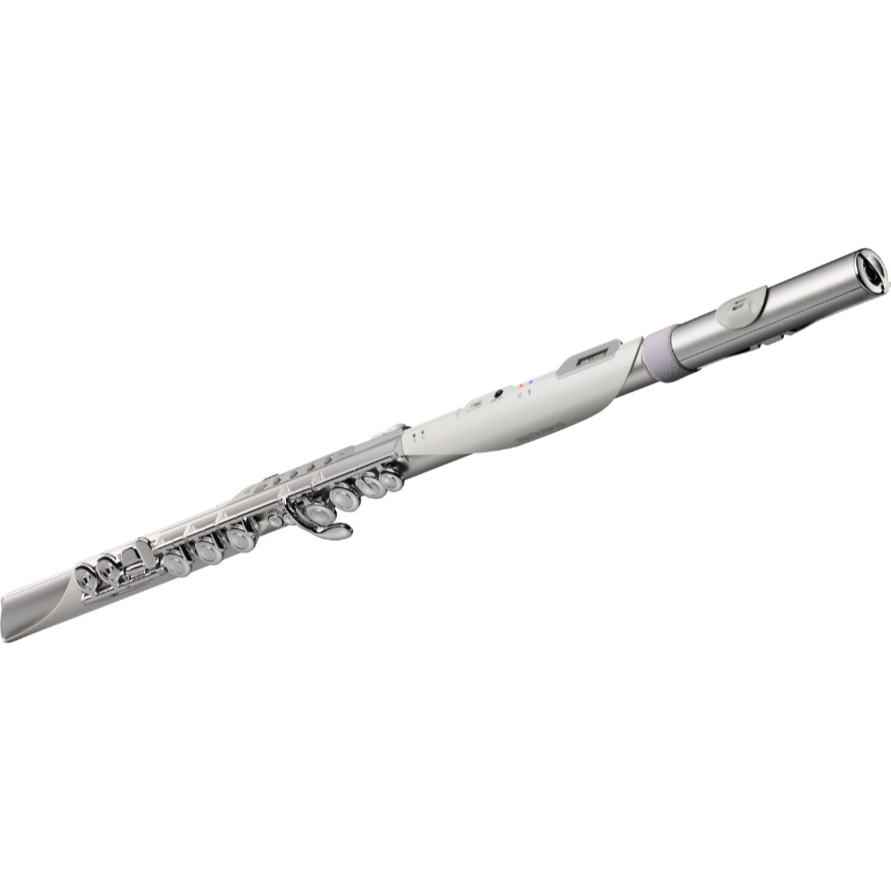 フルート型電子管楽器 ROLAND AE-BRISA Aerophone Brisa DIGITAL WIND INSTRUMENT ローランド エアロフォン ブリサ 吹き口側