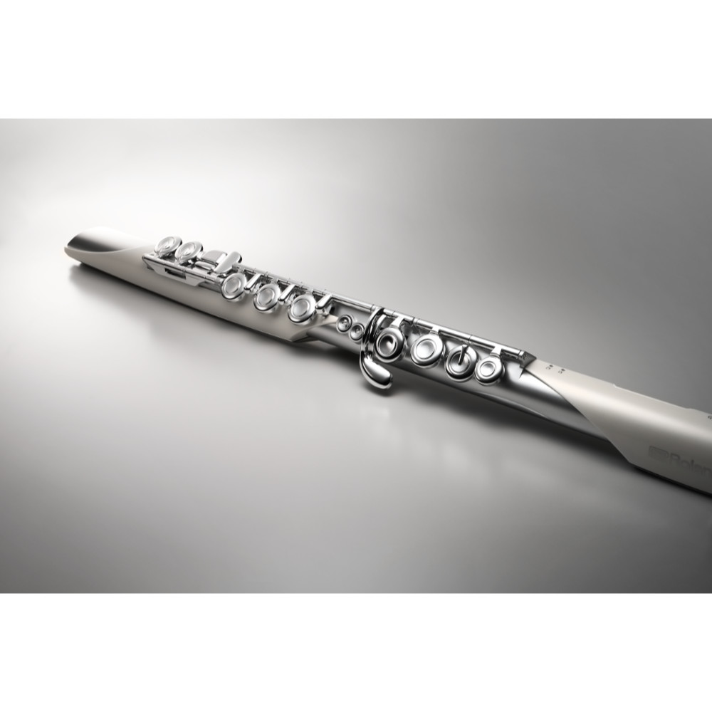 フルート型電子管楽器 ROLAND AE-BRISA Aerophone Brisa DIGITAL WIND INSTRUMENT ローランド エアロフォン ブリサ コントロール部