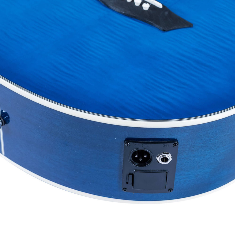 Washburn ワッシュバーン EA15 FLAME TRANSPARENT BLUE エレクトリックアコースティックギター コネクタ画像