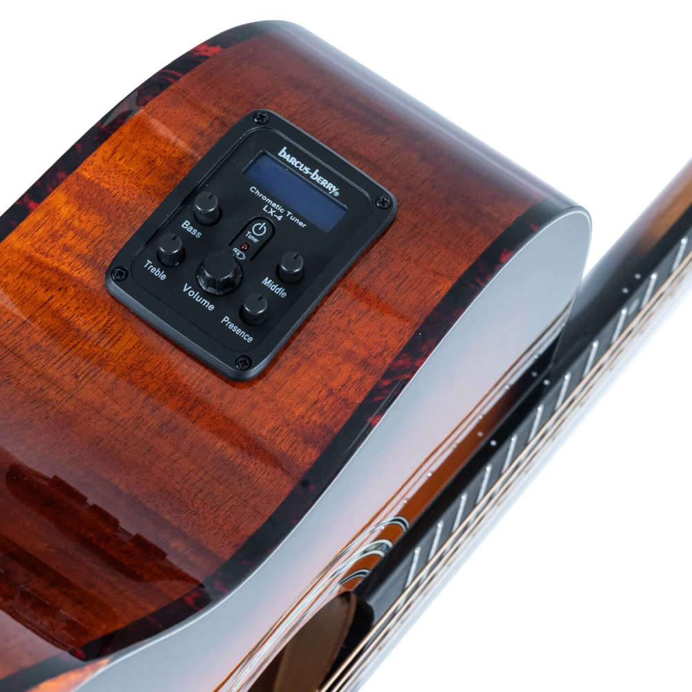 Washburn ワッシュバーン WCG10CE エレクトリックアコースティックギター プリアンプ画像