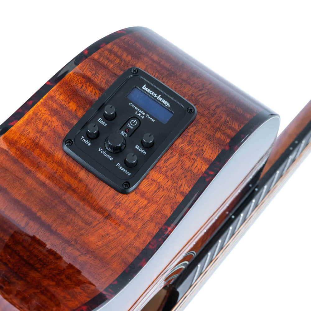 Washburn ワッシュバーン WCG12FCE エレクトリックアコースティックギター プリアンプ画像