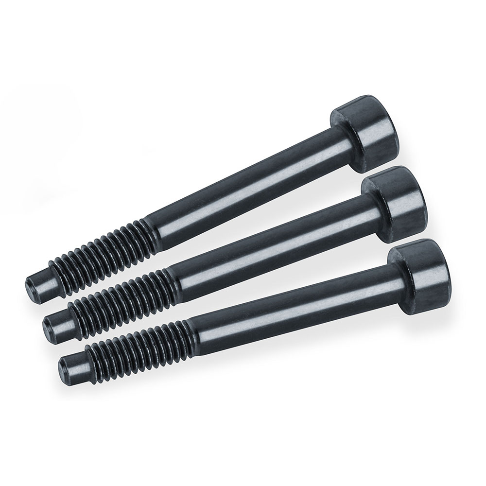 SCHALLER シャーラー LockMeister String Lock Screw Short x 3 ストリング ロックスクリュー ショート 3本セット