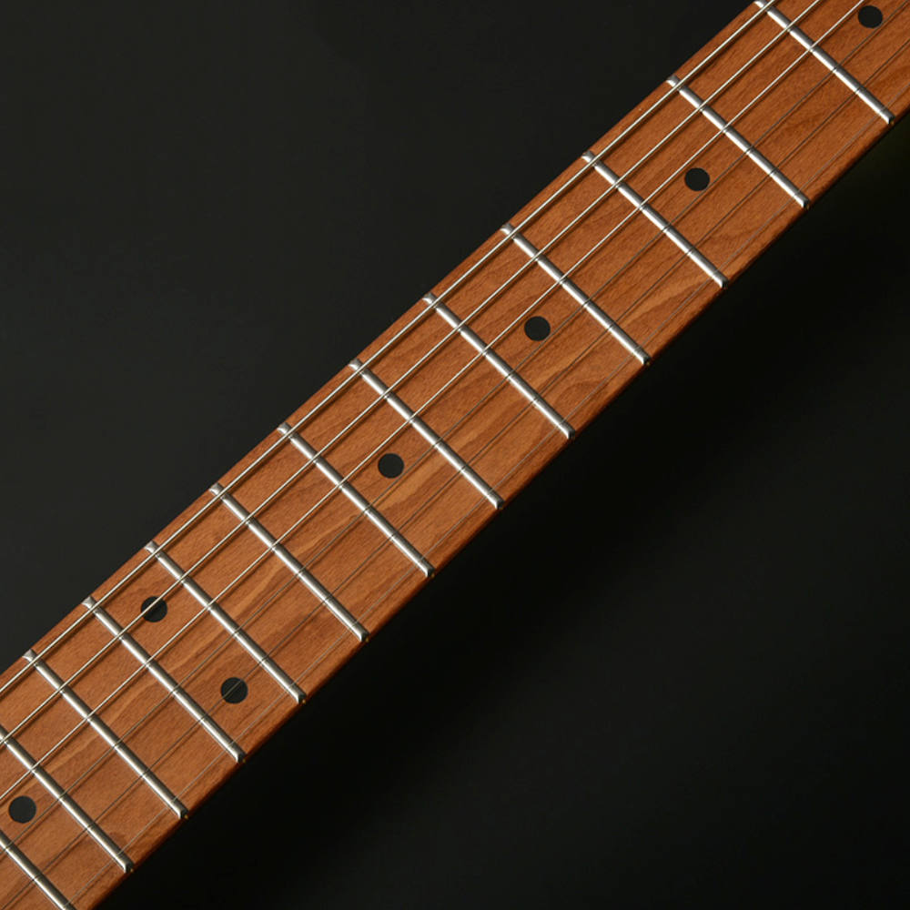 BACCHUS バッカス Universe Series BMS-1-RSM/M-TTPG BGM エレキギター ネック