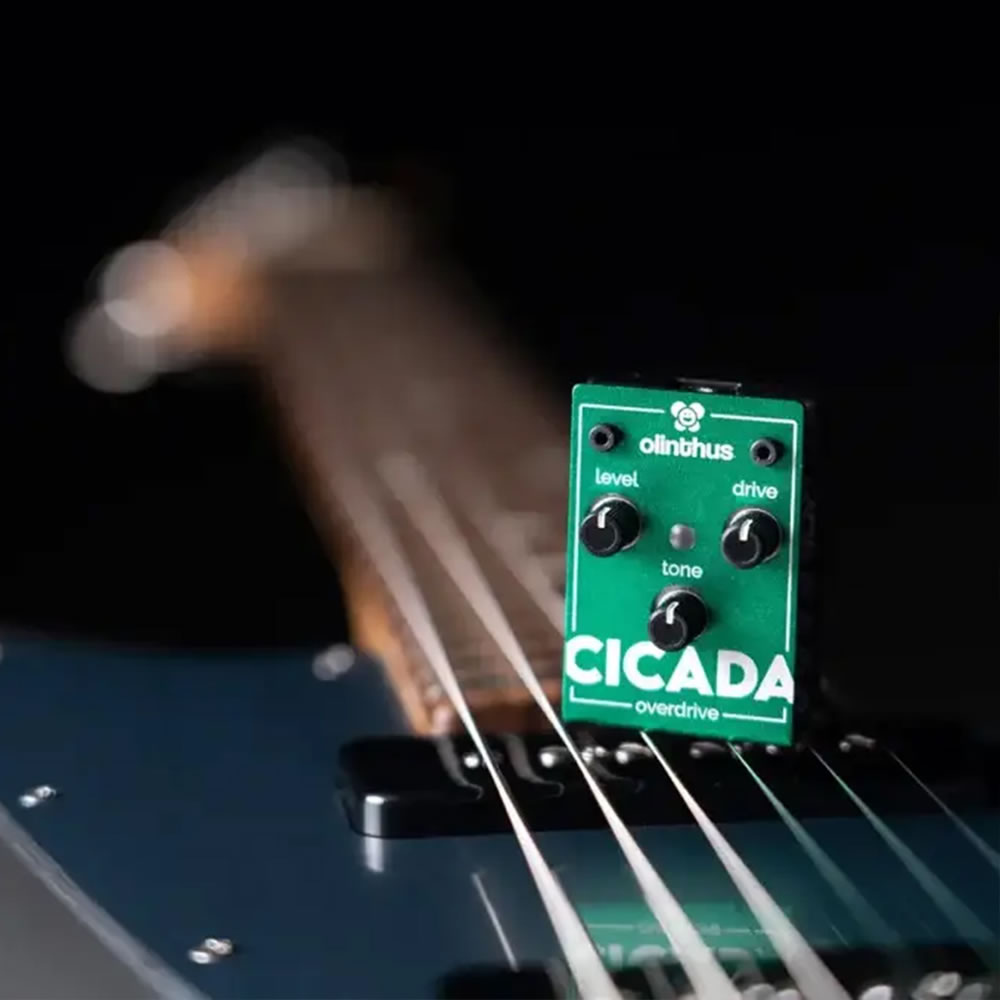 エフェクター Olinthus CICADA 超小型エフェクター オーバードライブ