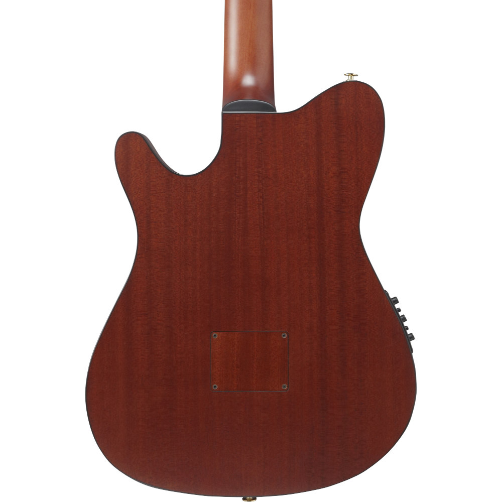 IBANEZ アイバニーズ FRH20SMN-TCL ナイロンエレクトリックギター エレガットギター ボディバック画像