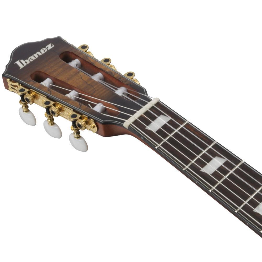 IBANEZ アイバニーズ FRH20SMN-TCL ナイロンエレクトリックギター エレガットギター ヘッド画像