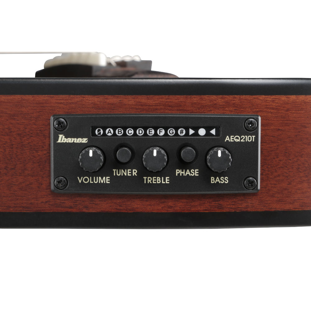 IBANEZ アイバニーズ FRH20SMN-TCL ナイロンエレクトリックギター エレガットギター コントロール画像