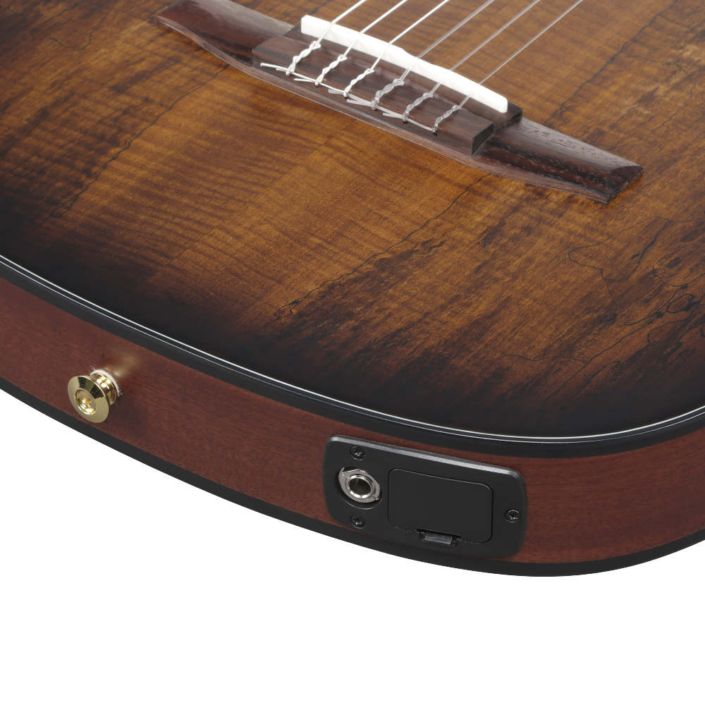 IBANEZ アイバニーズ FRH20SMN-TCL ナイロンエレクトリックギター エレガットギター ジャック画像