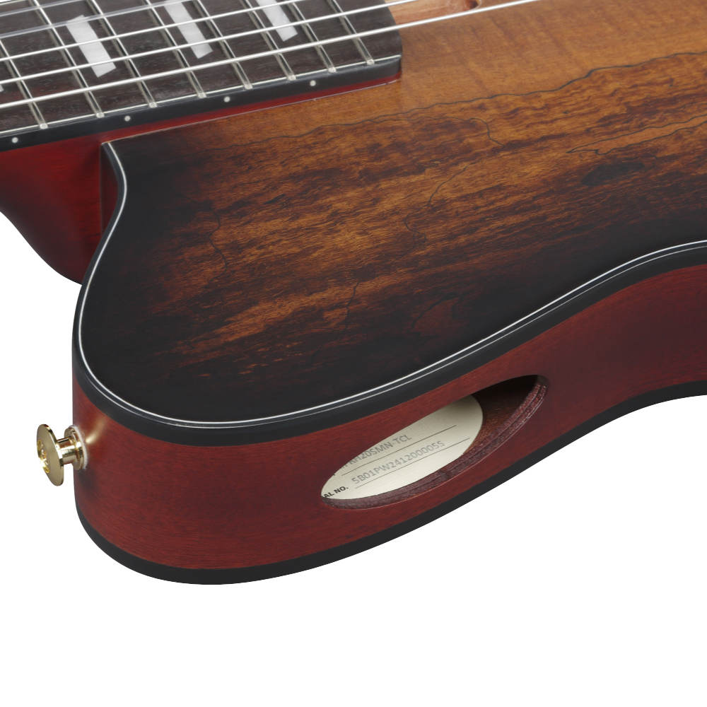 IBANEZ アイバニーズ FRH20SMN-TCL ナイロンエレクトリックギター エレガットギター サイドポート画像