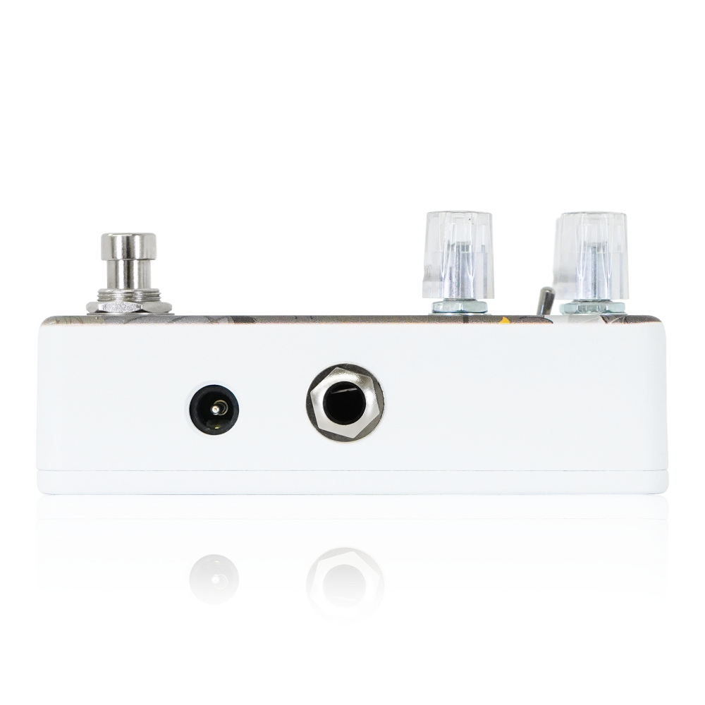 Animals Pedal アニマルズペダル Custom Illustrated BTR 数分間のエールを 外崎 大輔 リバーブ ギターエフェクター サイド画像