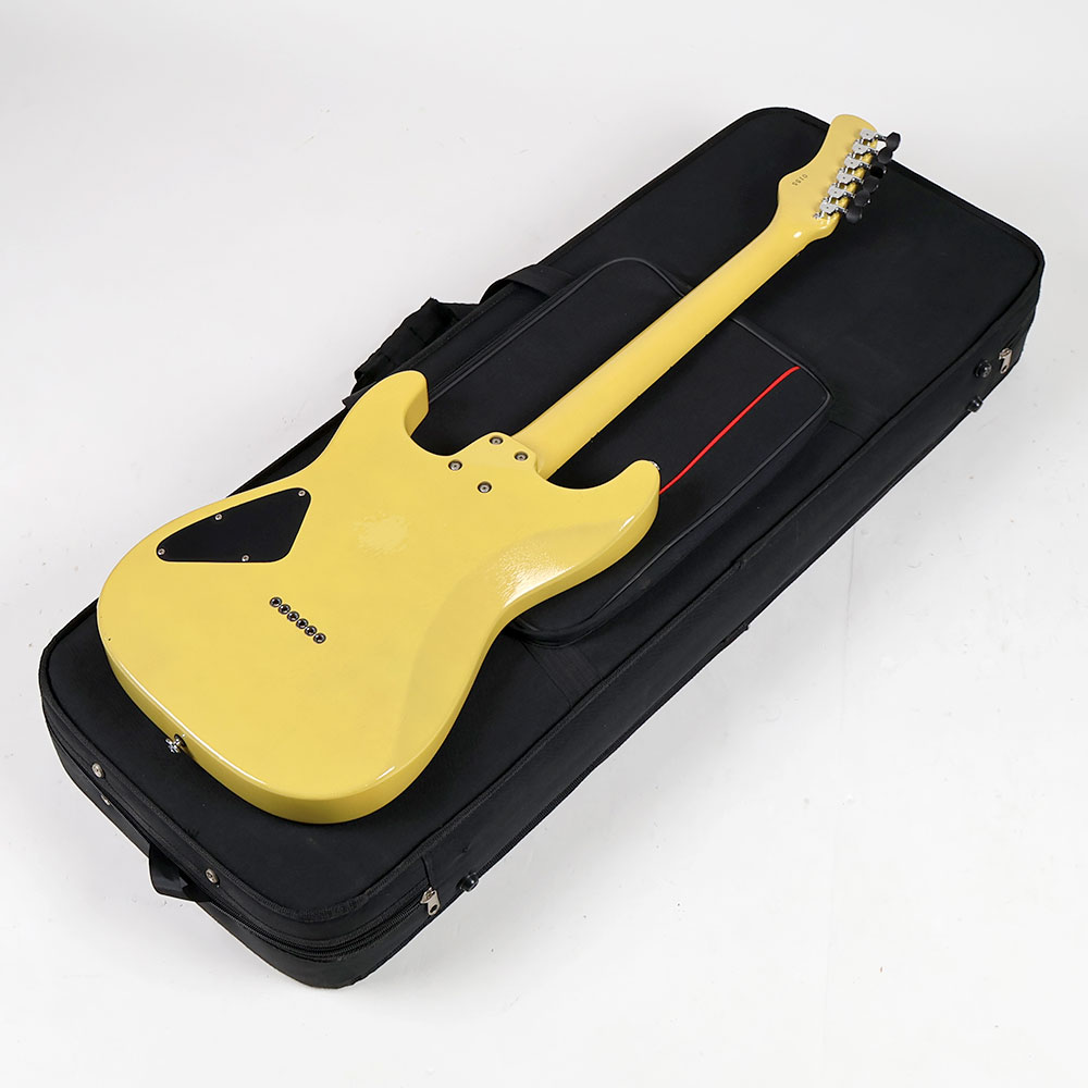 【中古】 エレキギター Deviser Special Specification Rosetta Vessel #0155 ディバイザー Fホール構造 背面