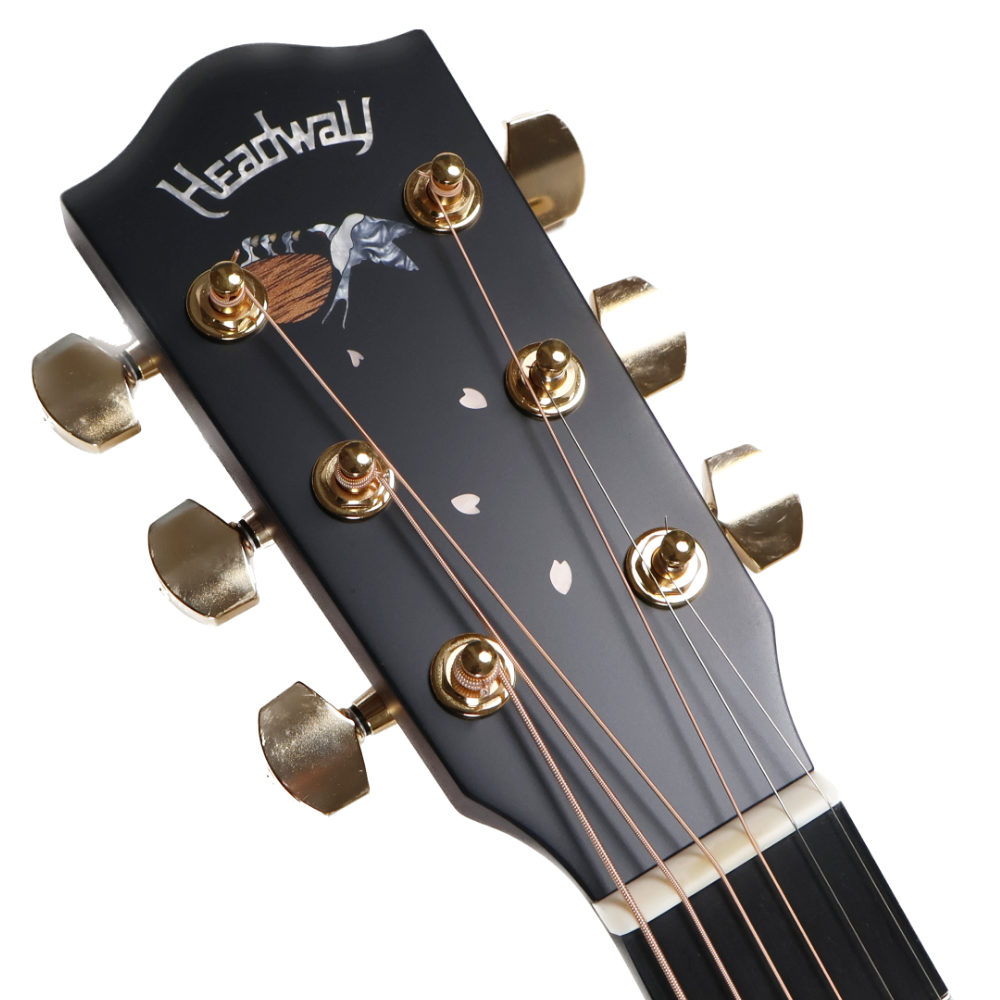 HEADWAY ヘッドウェイ Standard Series HD-FUYUYOZAKURA 25/STD Fuyuyozakura Pearl アコースティックギター ヘッド画像