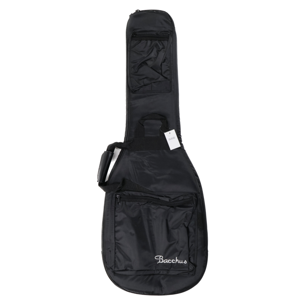 BACCHUS バッカス Unique series DUKE Year Of The Snake DLPB-PF エレキギター ケース画像