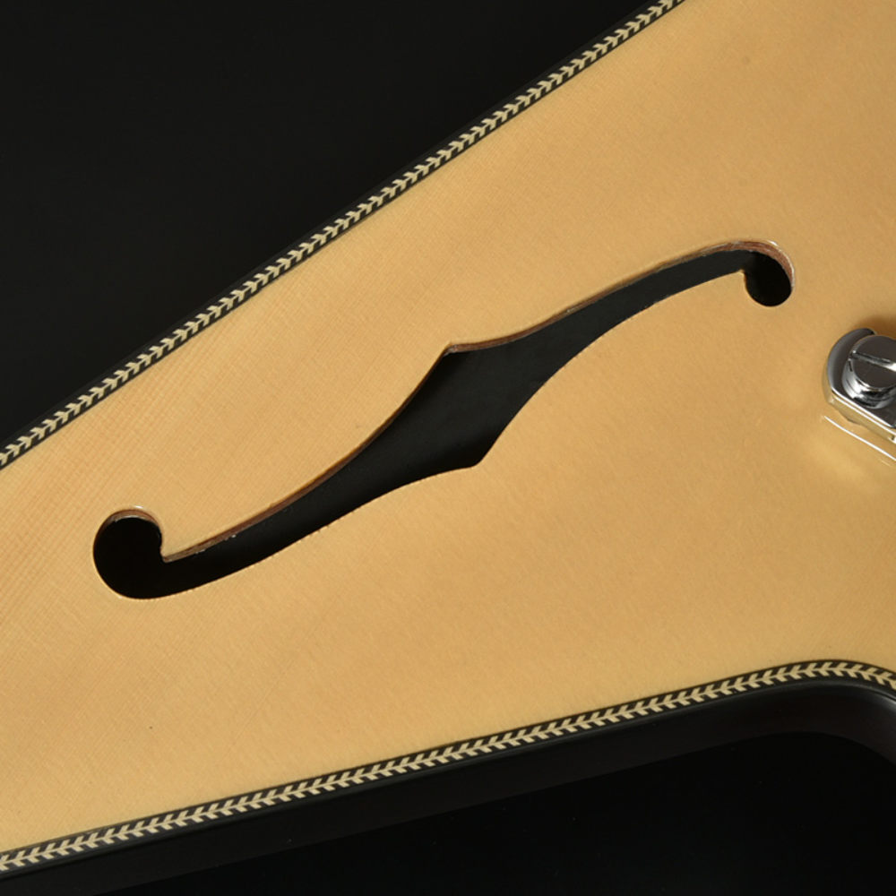 BACCHUS バッカス Global series BFV-JAZZ NA エレキギター Fホール部