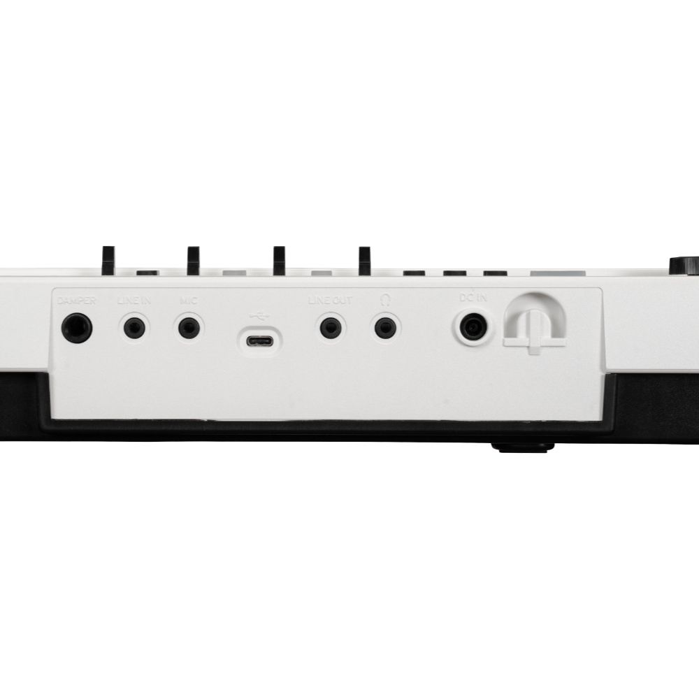 KORG Liano Live L1 LIVE 電子ピアノ コルグ リアコネクタ画像