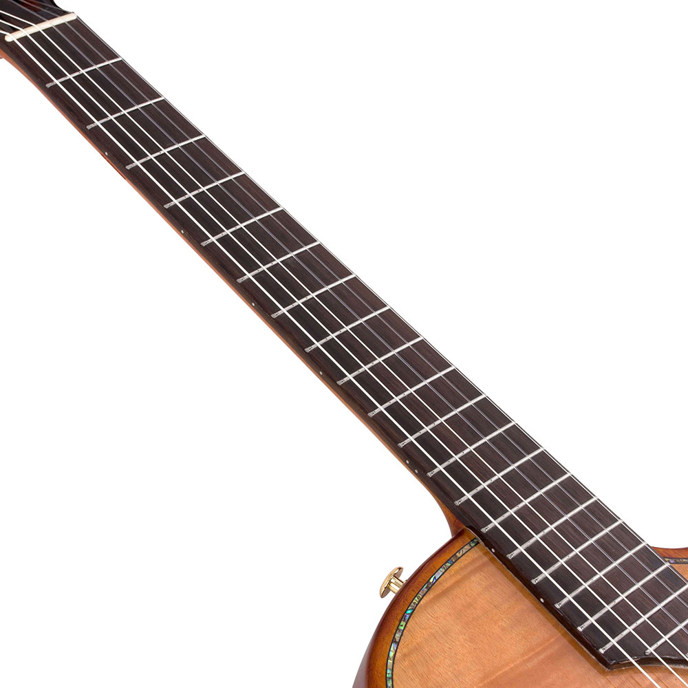 Bromo Guitars ブロモギターズ BEN2C エレクトリックナイロンギター 指板