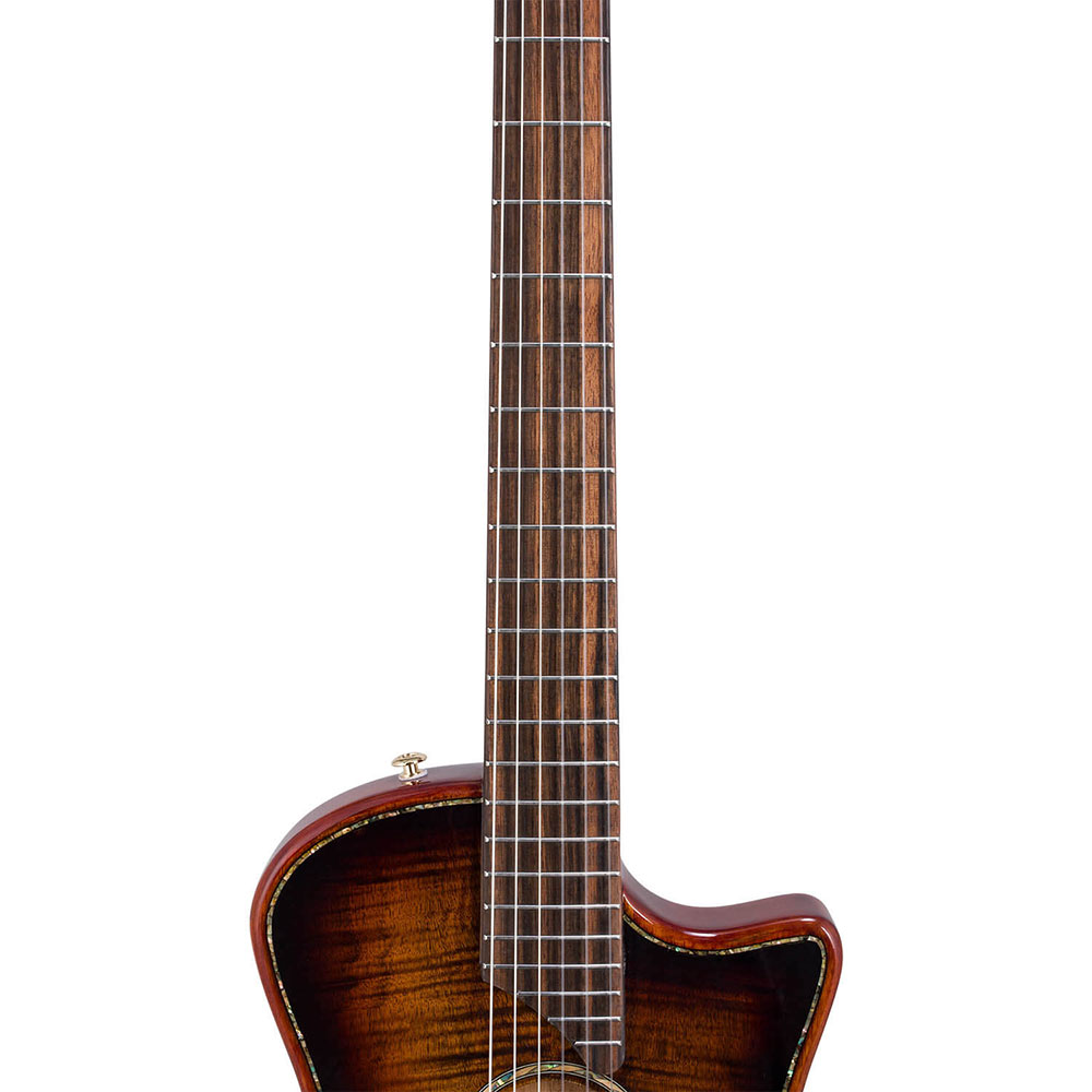 Bromo Guitars ブロモギターズ BEN2C 3ts エレクトリックナイロンギター 指板