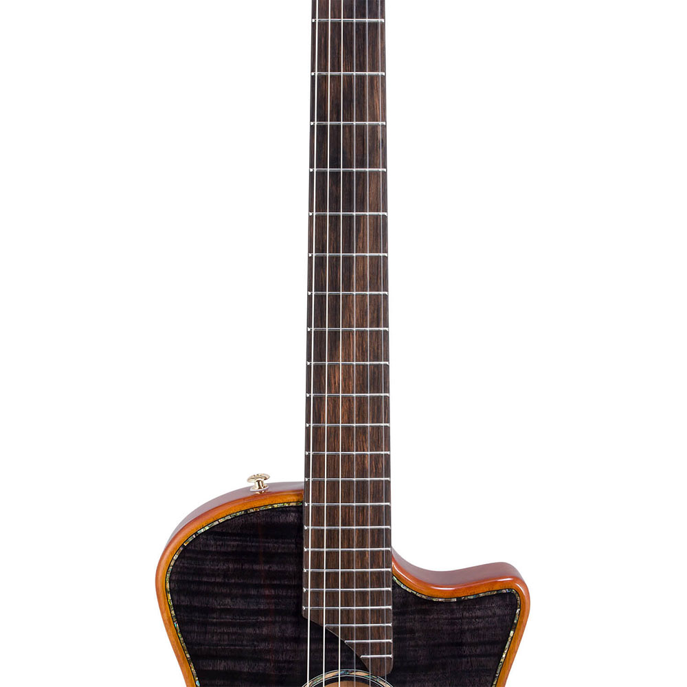 Bromo Guitars ブロモギターズ BEN2C tbk エレクトリックナイロンギター 指板