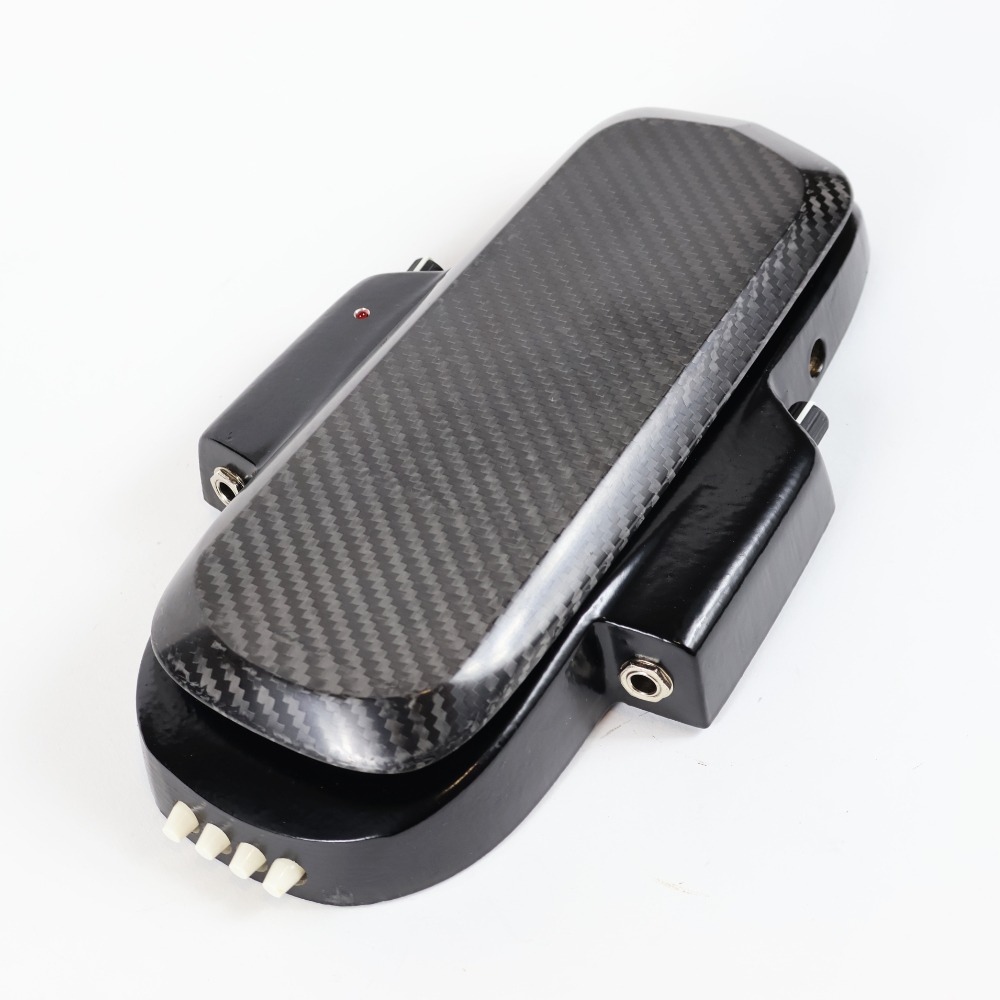 【中古】 ワウペダル ROGER MAYER Vision Wah