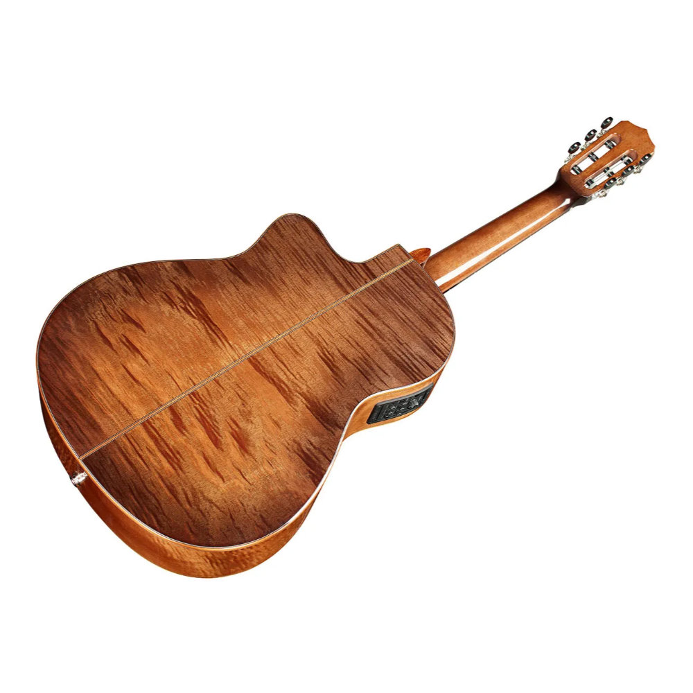 Cordoba コルドバ Fusion 12 Cinnamon Burst シナモン・バースト エレクトリック クラシックギター 背面