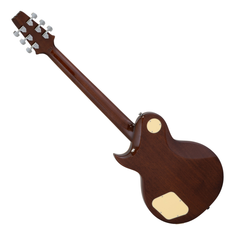 AriaProII アリアプロ2 PE-JAIL 2025 JAIL大橋代官シグネチャー コストパフォーマンスモデル エレキギター バック画像