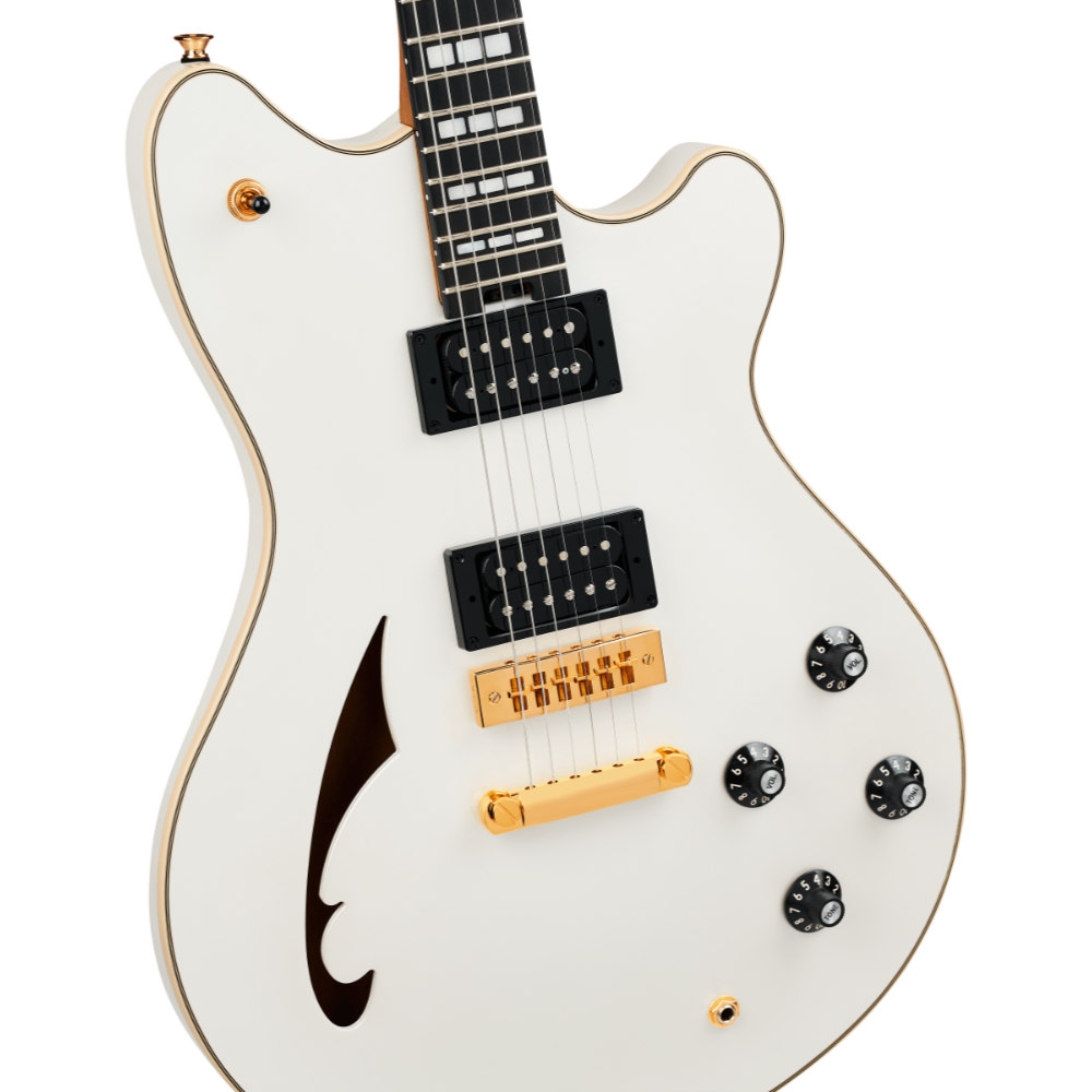 EVH イーブイエイチ SA-126 Special Platinum Pearl Metallic エレキギター ボディ画像