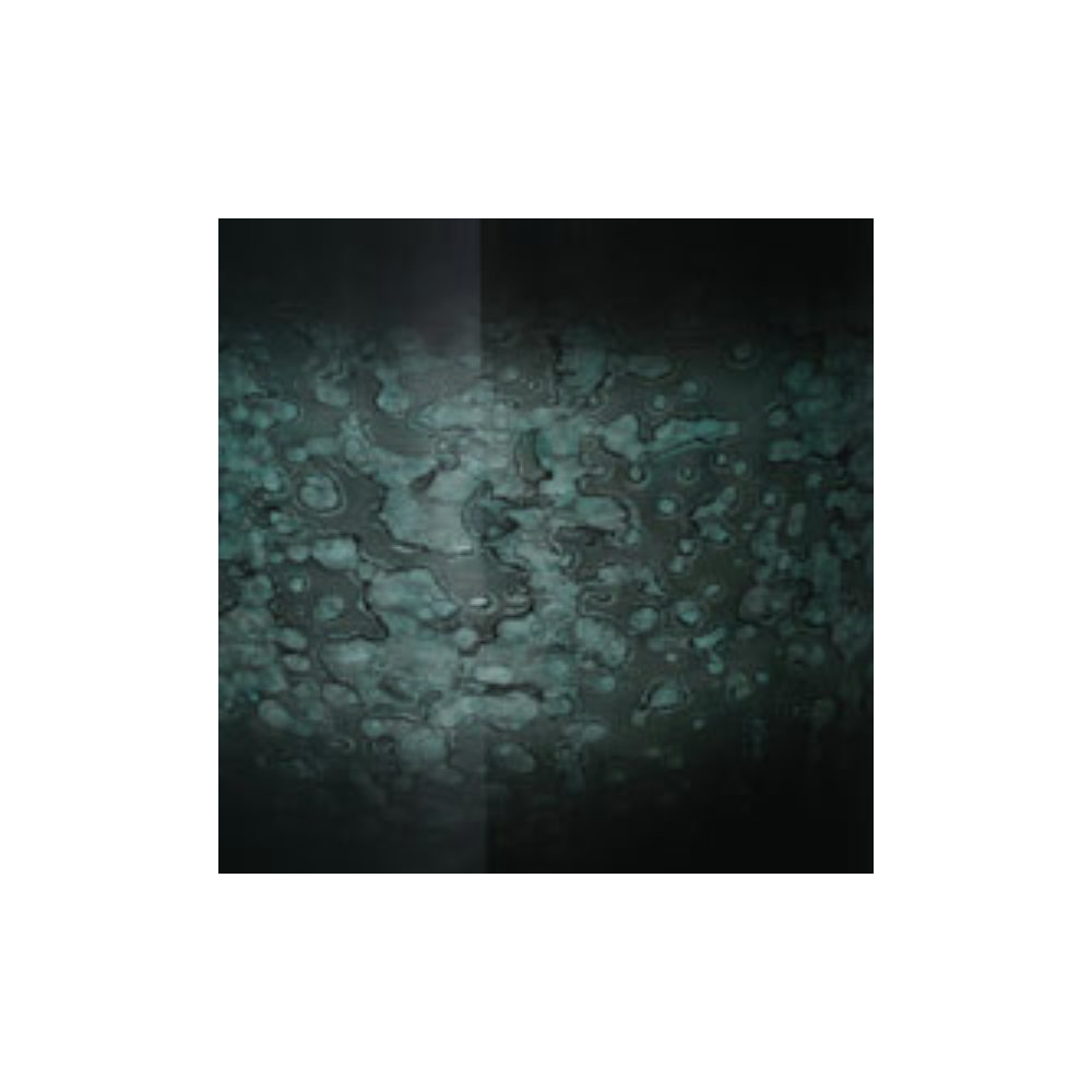 TAMA タマ MBSS55-MSL Starclassic Performer 14 x 5.5 スネアドラム カラー