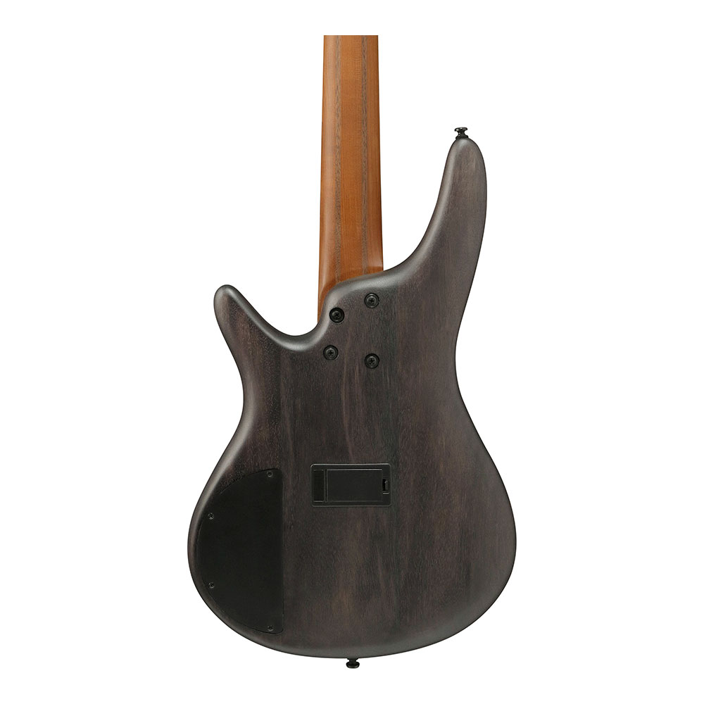 IBANEZ アイバニーズ SR505A-TGF 5弦エレキベース ボディバック