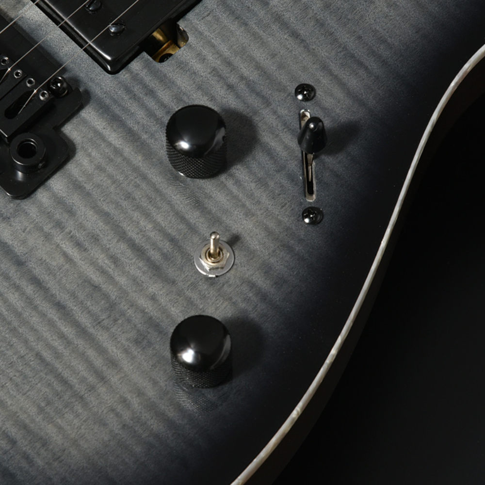 BACCHUS バッカス Universe Series GS-ABIM RSM/M BLK-B エレキギター コントロール部