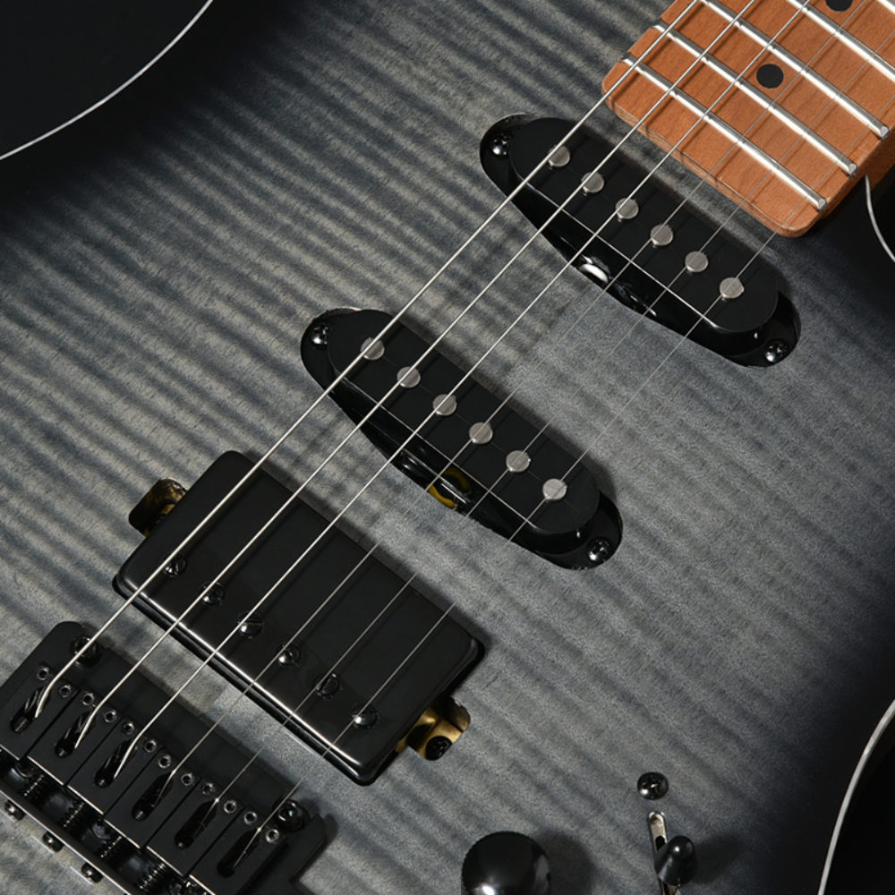 BACCHUS バッカス Universe Series GS-ABIM RSM/M BLK-B エレキギター ピックアップ部