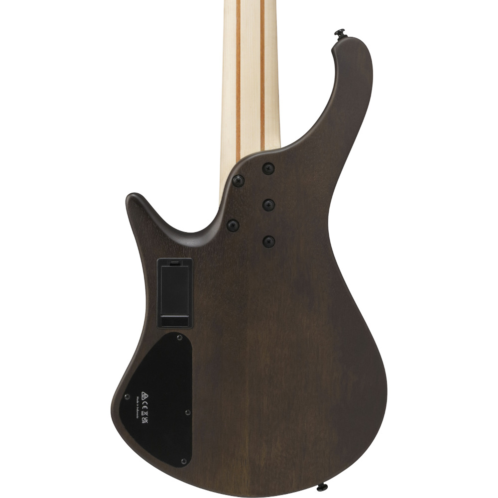 IBANEZ アイバニーズ EHB605-WNF 5弦エレキベース ボディバック