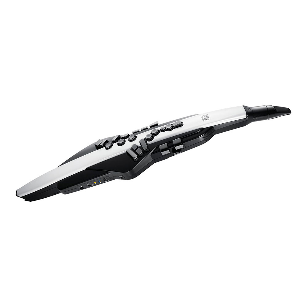 【訳あり】 Roland AE-20 Aerophone ウィンドシンセサイザー