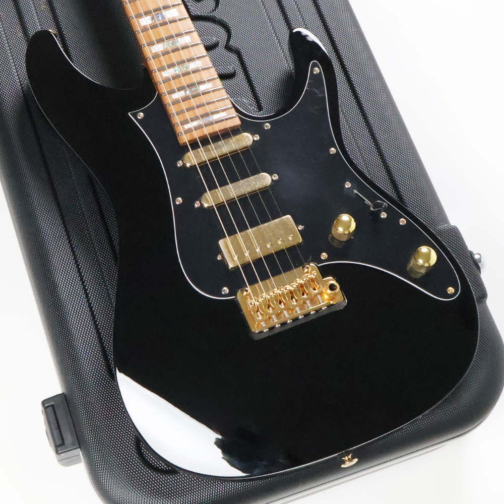 【中古】IBANEZ アイバニーズ Premium THBB10 Tim Hensonシグネイチャーモデル エレキギター ボディ画像 