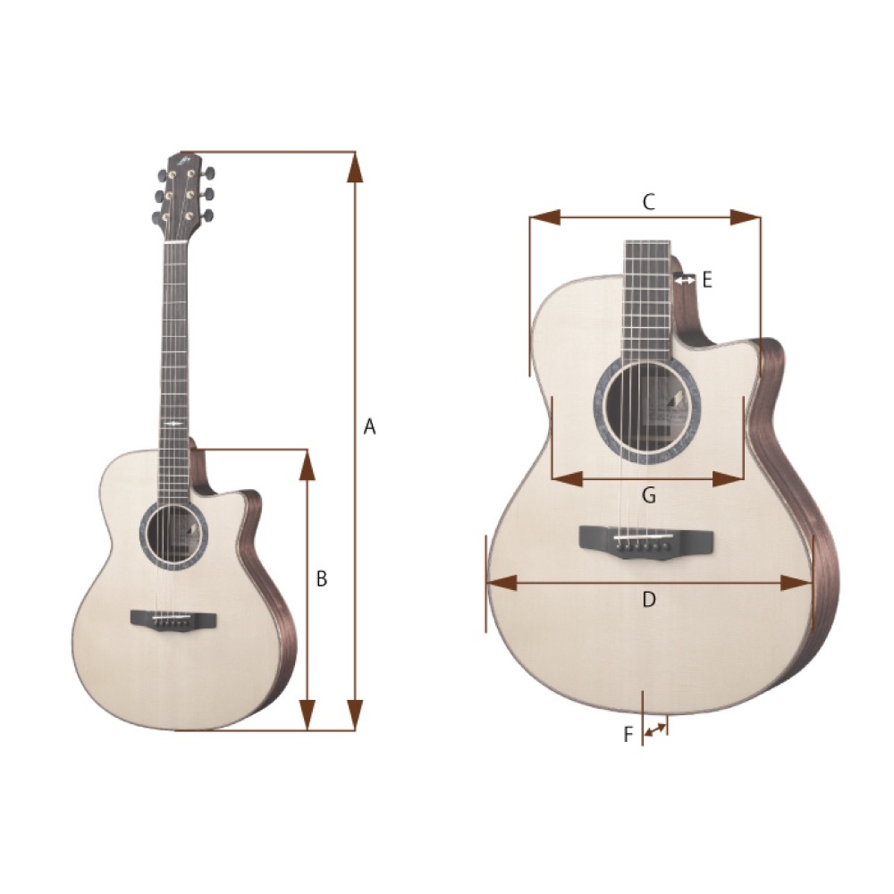 MORRIS モーリス TC-16 NAT エレクトリックアコースティックギター Natural Dimensions画像