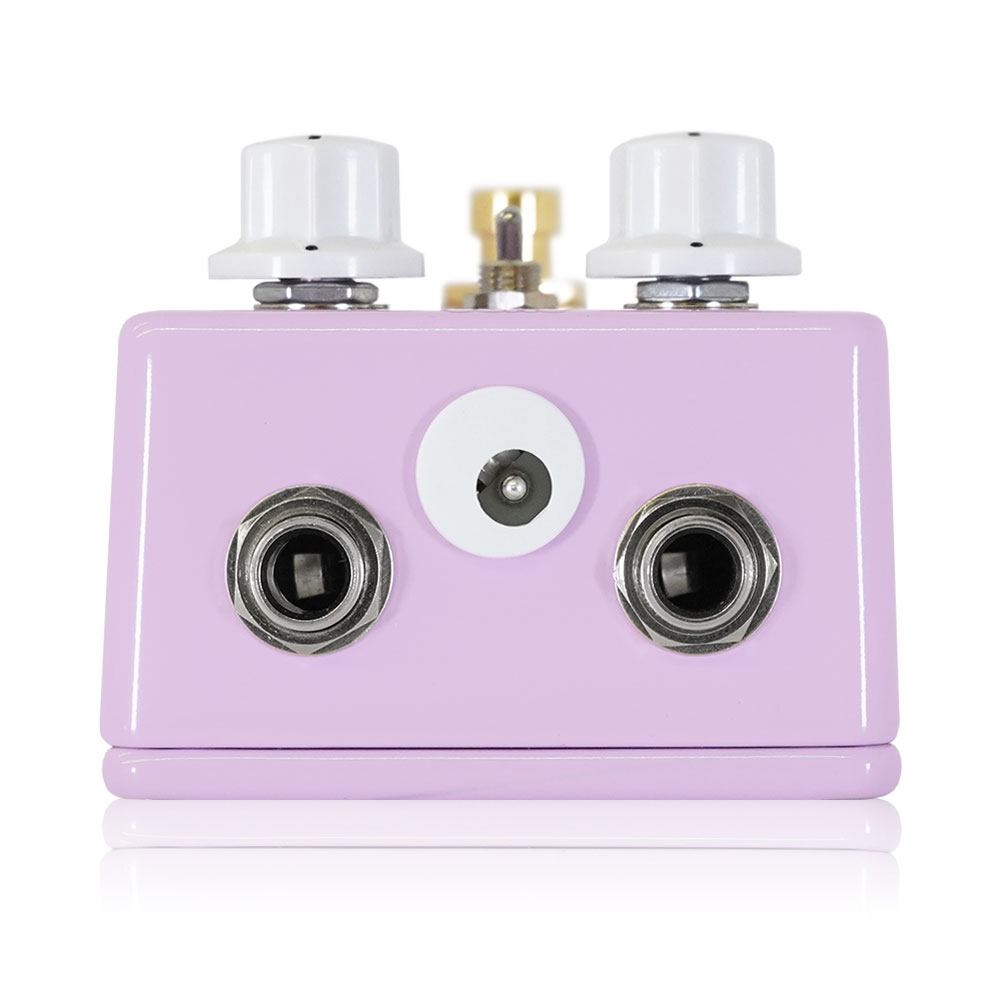 FruitFX フルーツエフエックス Frog Pedal モノフォニックオクターブダウンシンセ エフェクター 背面