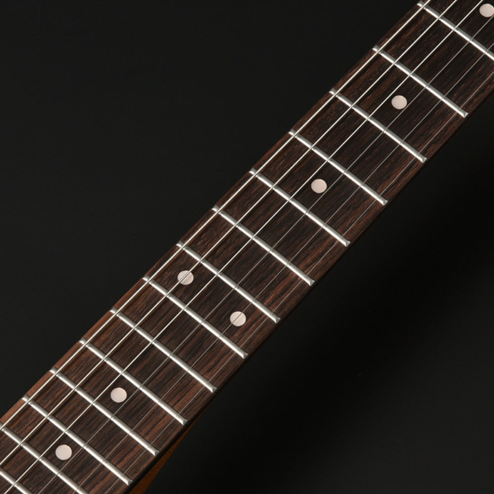 BACCHUS バッカス Universe Series BTE-4-RSM/R-BPPG Gun-M エレキギター ネック部