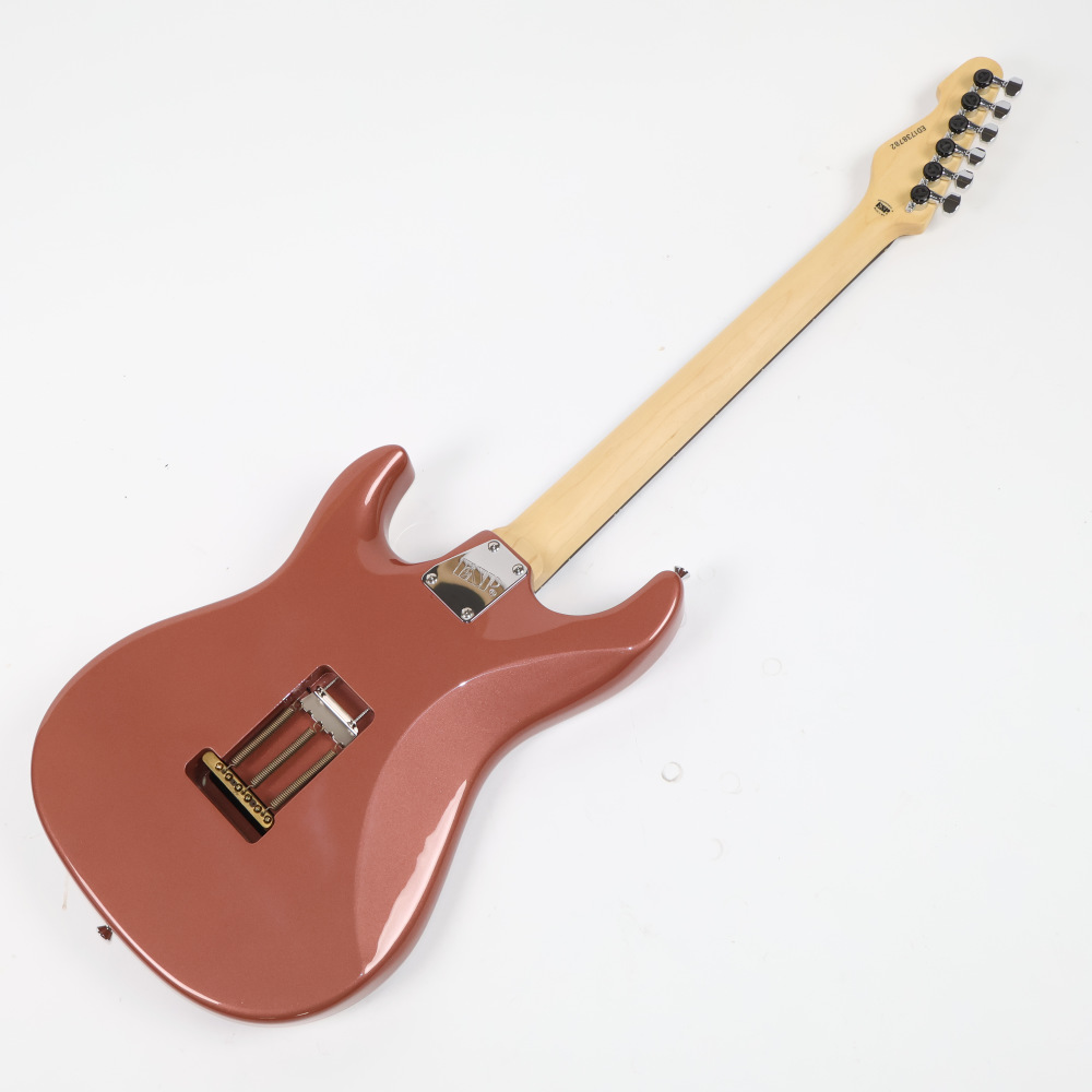 【中古】 EDWARDS エドワーズ E-SN-190MF 2017年製 藤岡幹大モデル エレキギター 詳細画像
