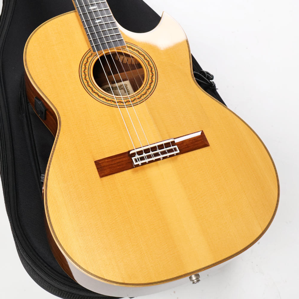 【中古】 クラシックギター エレガット Asturias Recording Rose S 2006年製 アストリアス レコーディングローズ L.R. Baggsピックアップ搭載 スプルーストップ ローズウッドバック&サイド ボディ画像