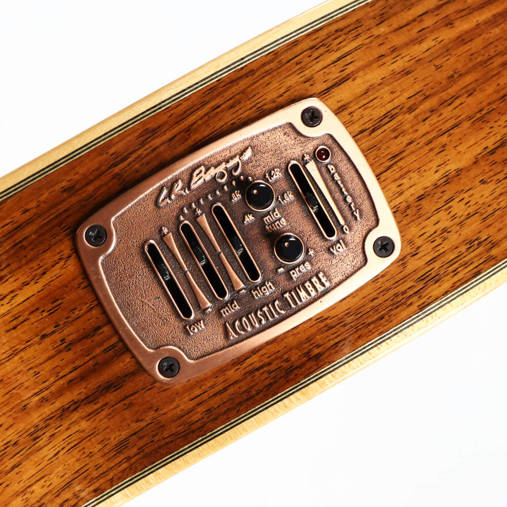 【中古】 クラシックギター エレガット Asturias Recording Rose S 2006年製 アストリアス レコーディングローズ L.R. Baggsピックアップ搭載 スプルーストップ ローズウッドバック&サイド コントロール