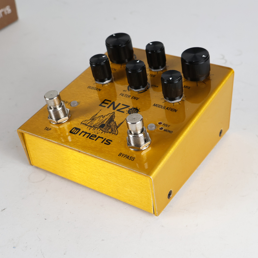 【中古】 マルチボイスシンセサイザーペダル Meris EZO-DST Enzo Pedal メリス エフェクター 側面
